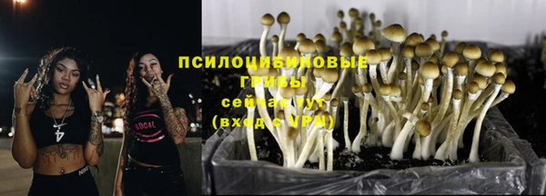 ECSTASY Дмитровск