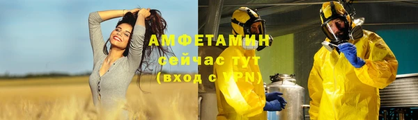 ECSTASY Дмитровск